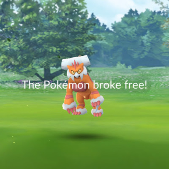 Meet your Posher, Steve - Picture 1 of 1